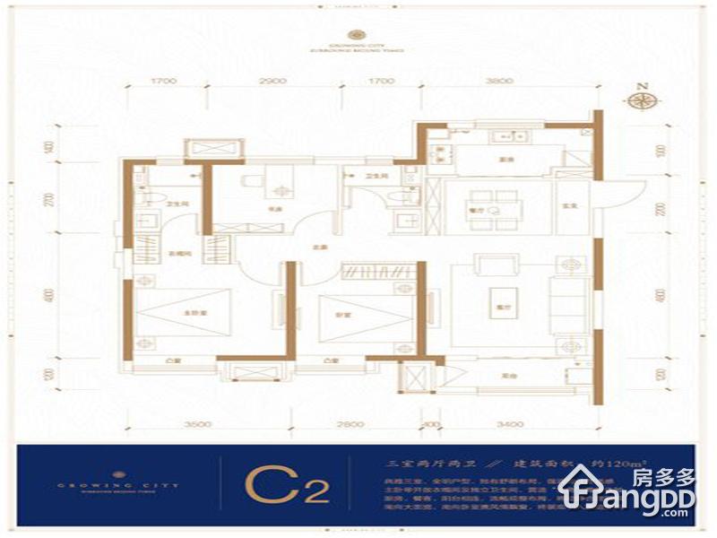 金地新城大境3室2厅2卫户型图