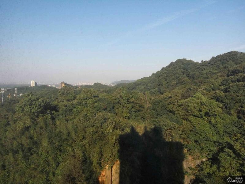 荆山翠谷 3居