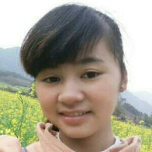 黄花艳