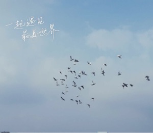 赵聪聪