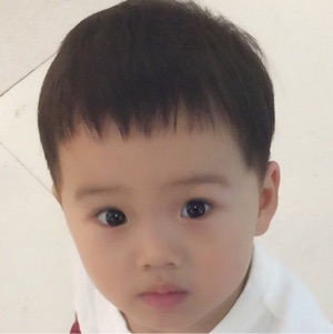 方毅