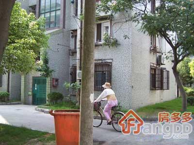 延吉中路320弄图片
