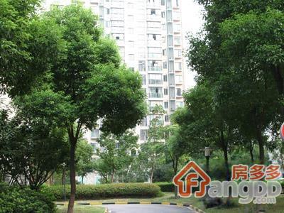 恒联新天地花园图片