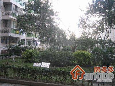 丽园公寓小区图片