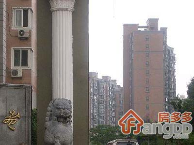 林荫大楼图片