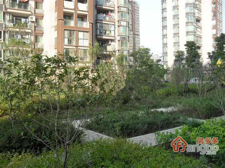 塔城路850弄图片
