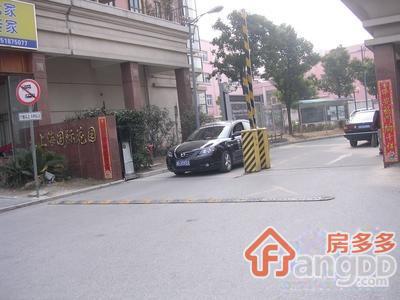 大上海国际花园六区图片