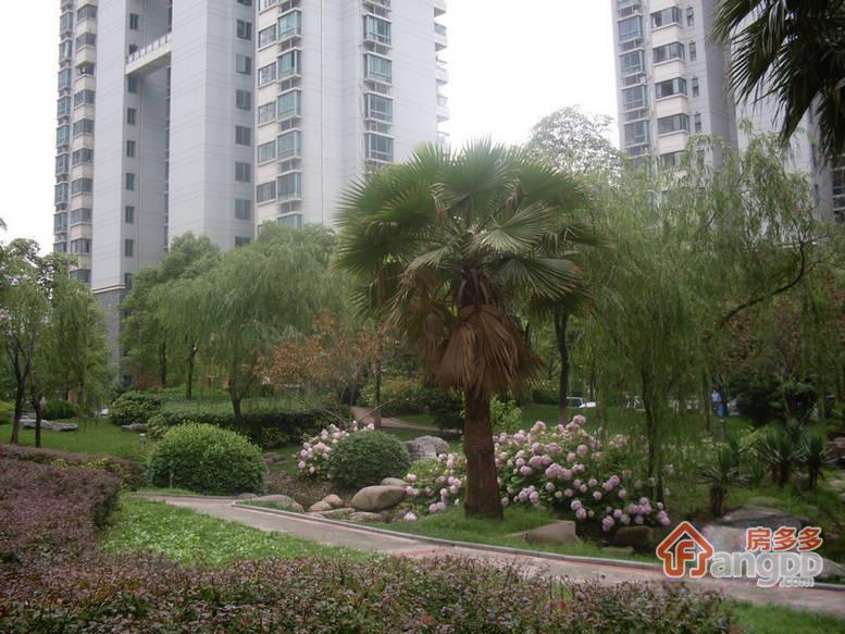 嘉利明珠城图片