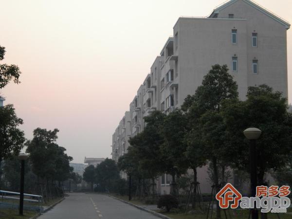 银丰苑小区图片
