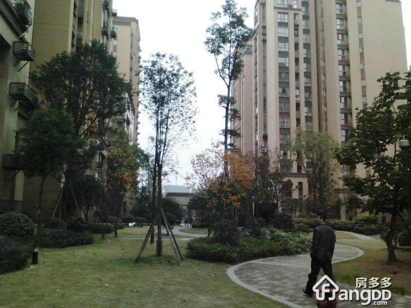 湖畔花园小区图片