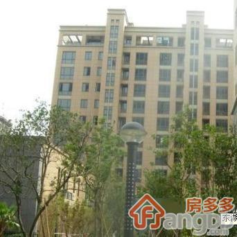 东湖春天图片
