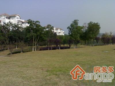 良渚文化村竹径茶语图片