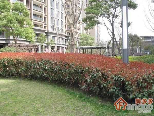 都市港湾图片