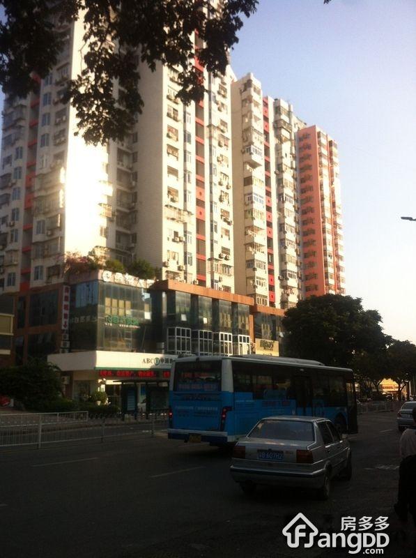 金福大厦图片