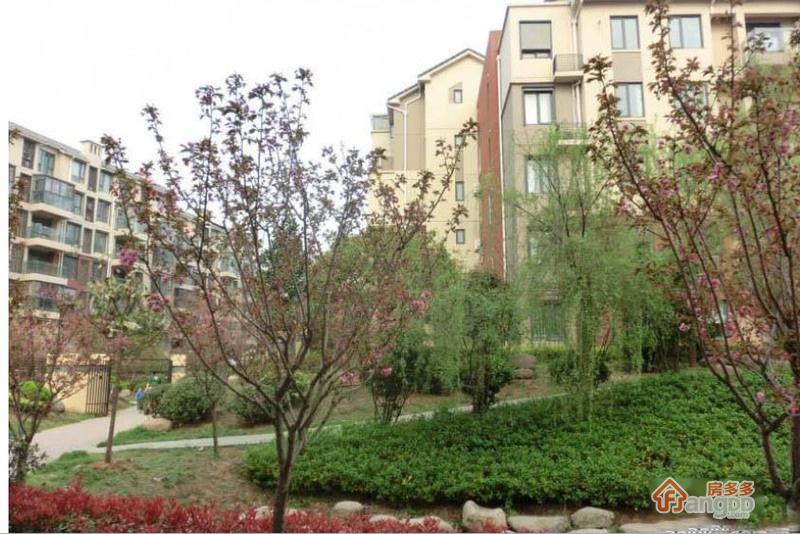 东郊小镇第六街区小区图片