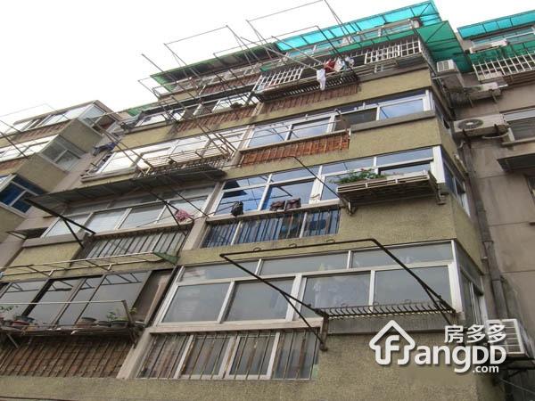 新庄村55号小区图片
