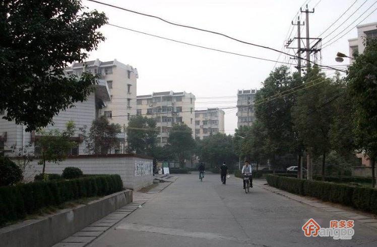 扬子十四村小区图片