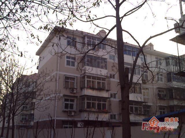 莫愁新寓迎春里图片