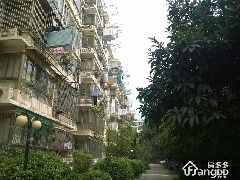 黑龙江路26号图片