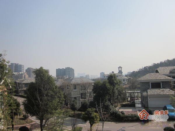 小卫街小区小区图片