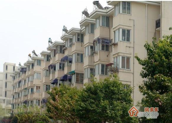 西街头小区图片
