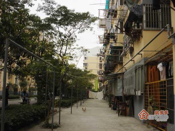 汽轮六村小区图片