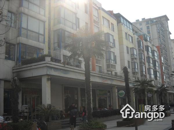 阳光之旅小区图片