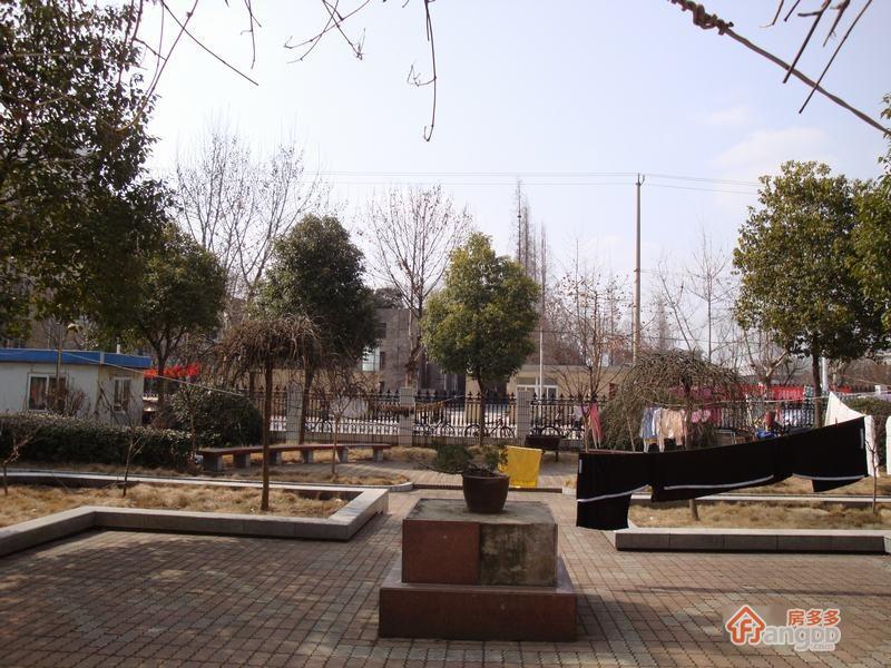 荷花新苑图片