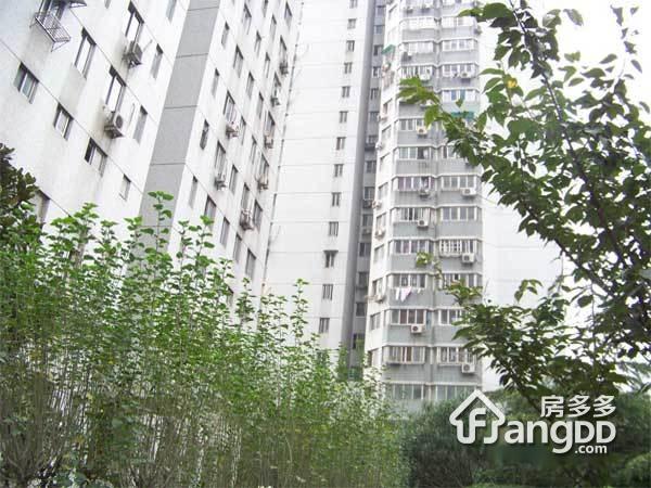 弓箭坊小区图片