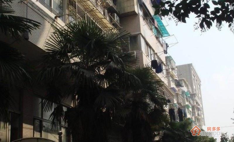 七家湾图片