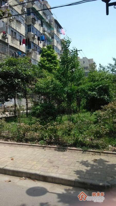 营苑新寓图片