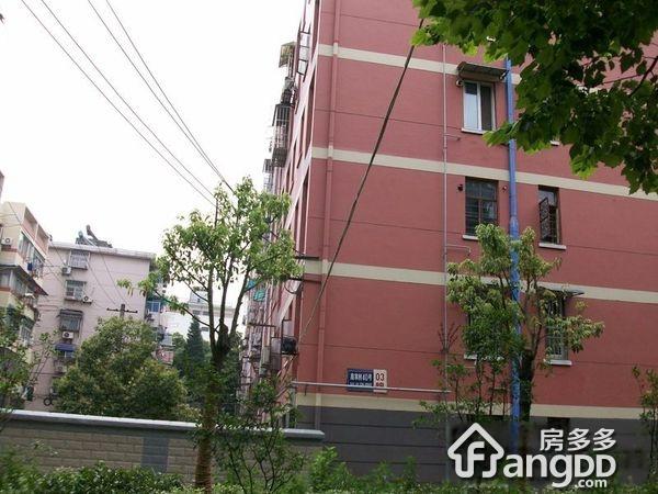 高家村40号图片