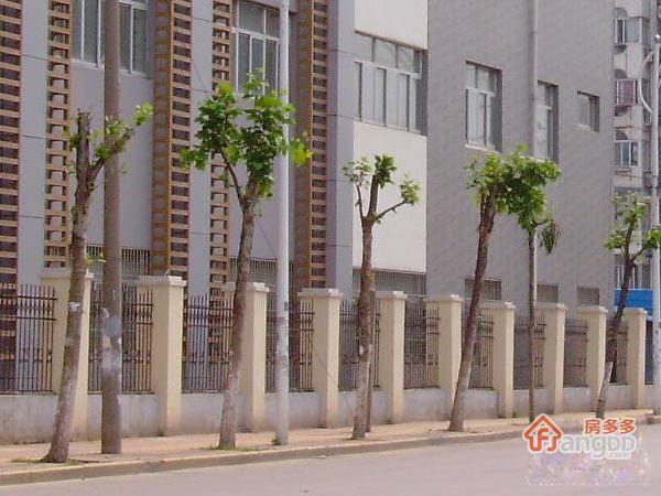 蓝旗街图片
