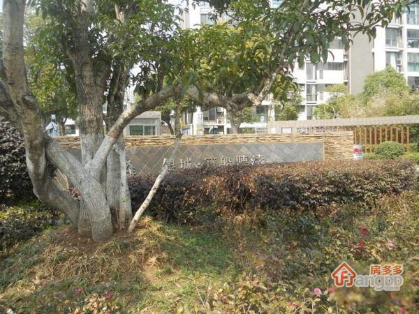 银城宝船听涛图片