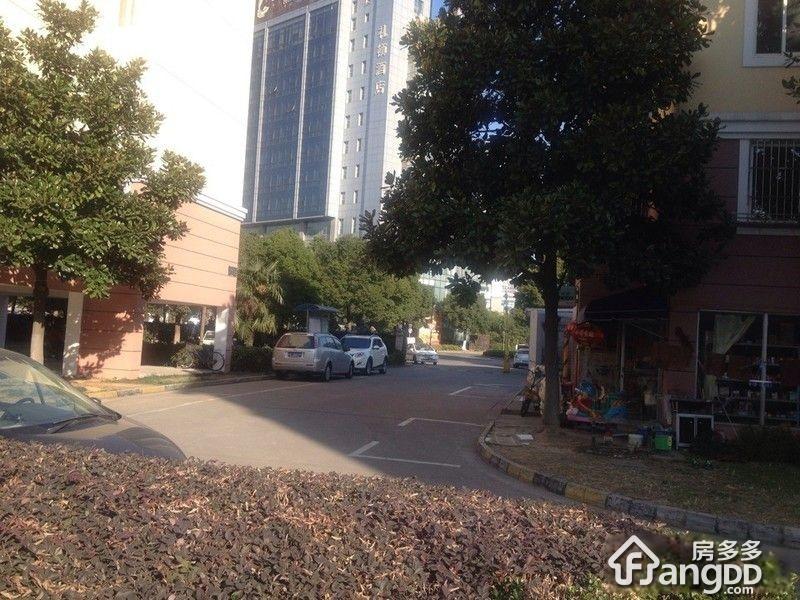 荷花苑小区图片