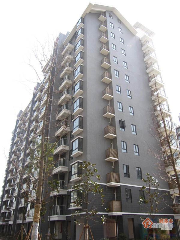 冠城水岸风景图片