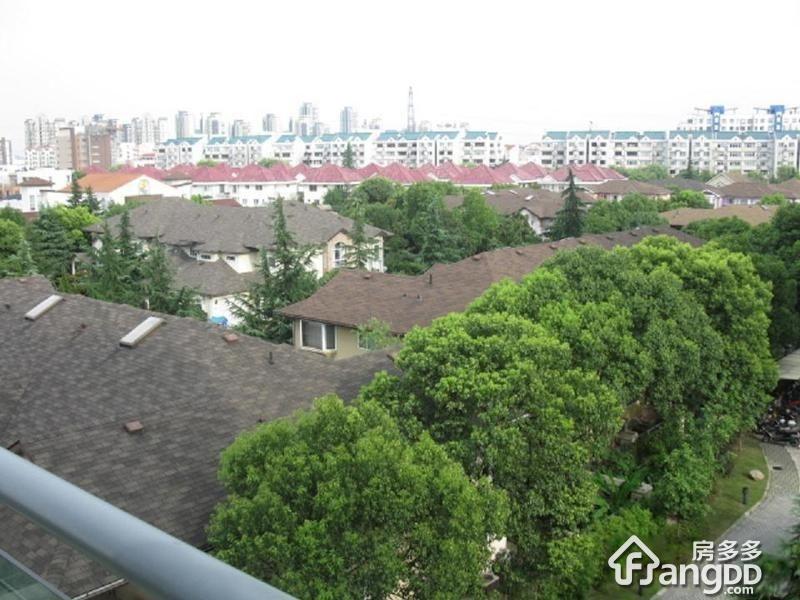 御花园图片