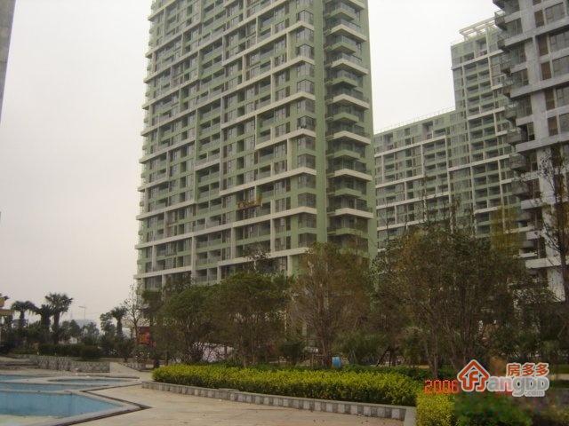 金枫苑图片