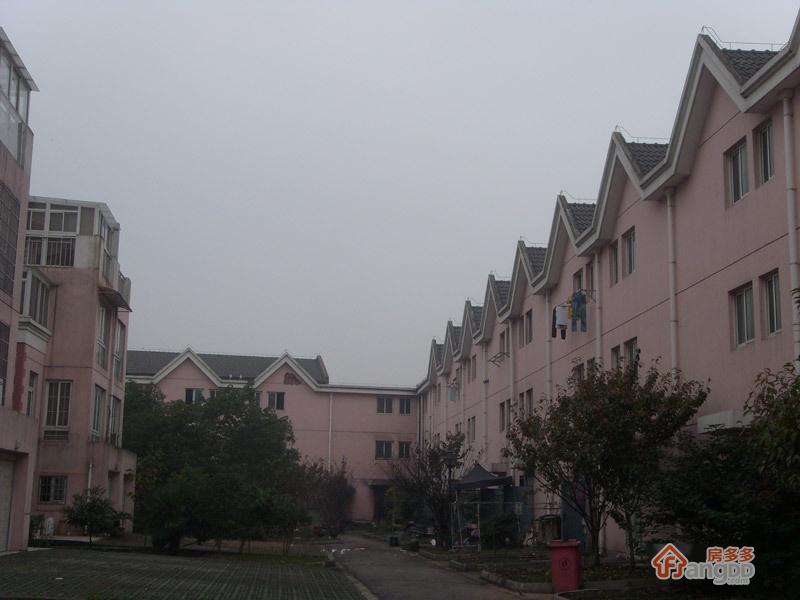 咏春花苑图片