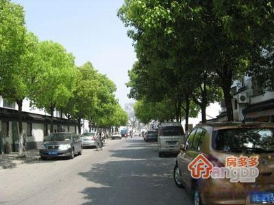 侍其巷图片