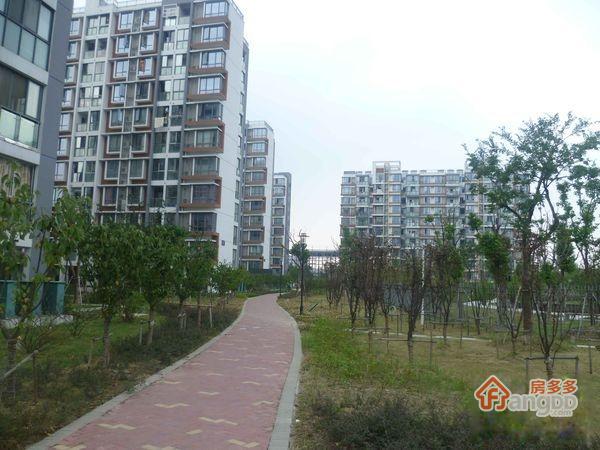 汀兰家园图片