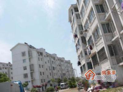 娄门新村图片