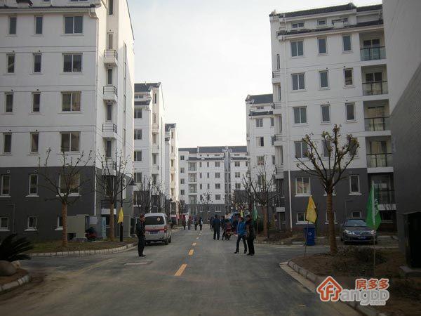 虎阜花园图片