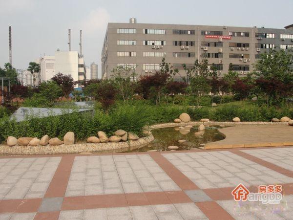 星韵花园图片