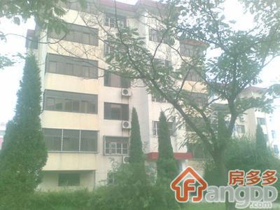 东环新村图片