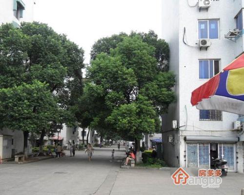 新狮新苑图片
