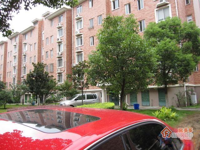 金之枫花园图片