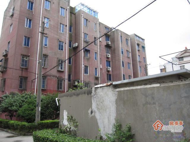 金港公寓图片