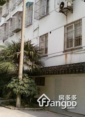 东蒋家场图片