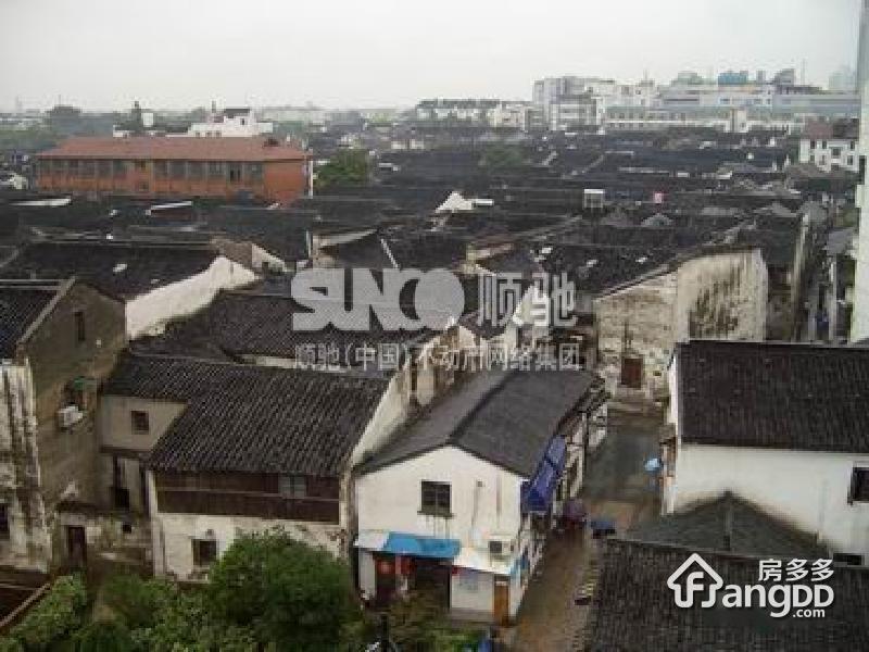 西杨安浜图片